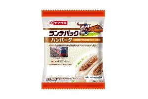 小田急オリジナル「ランチパック」発売、ロマンスカーをデザイン