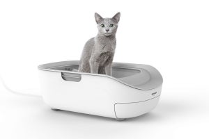 シャープ、カワイイ愛猫を健康管理するペットケアモニター