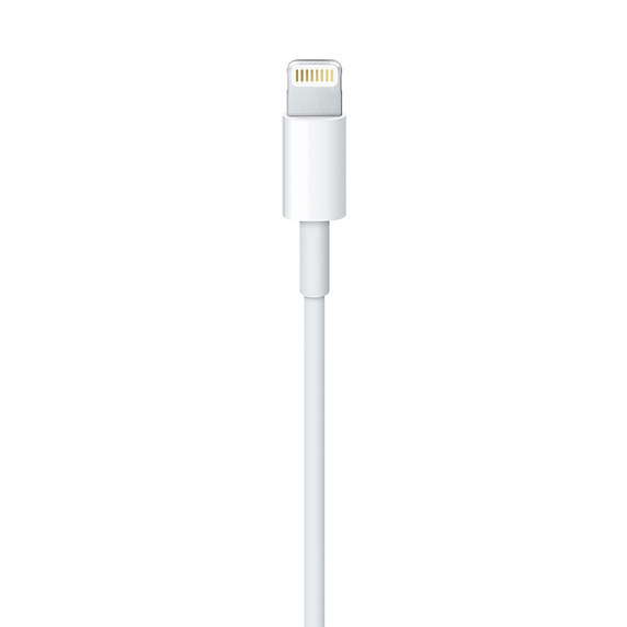 英断? 無謀? AppleがLightningからUSB Type-Cへと変更の可能性