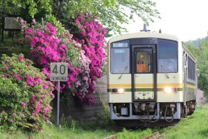 JR木次線「おくいずも女子旅列車」地酒やスイーツを堪能できる旅