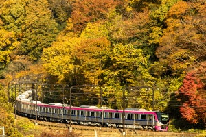 京王電鉄5000系「Mt.TAKAO号」11月に高尾山口発の臨時座席指定列車