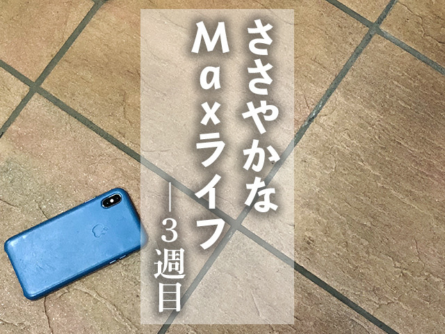 iPhone XS Maxとどれくらい付き合うべきか考えてみる話 - ささやかなMaxライフ3週目