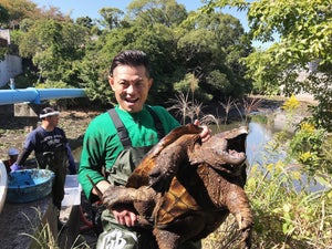 的場浩司、1m超のワニガメを捕獲 『池の水ぜんぶ抜く』史上最大