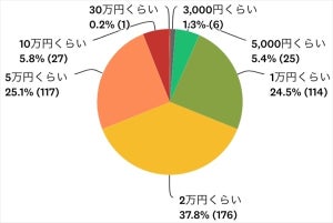 クリスマスや年末年始、いくらぐらいお金が足りない?