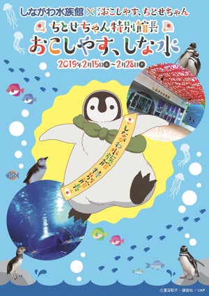 『おこしやす、ちとせちゃん』、ちとせちゃんが"しながわ水族館"特別館長に