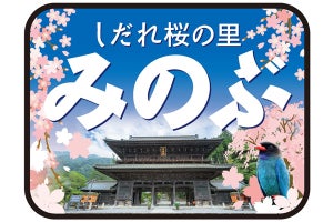 JR東海373系、身延線で臨時急行「しだれ桜の里 みのぶ」号を運転