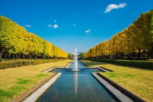 休日は電車でひとり旅! 東京駅発の「日帰り旅行」おすすめスポット20選