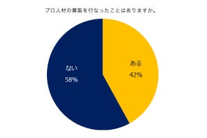 募集が多いプロ人材、1位は? - 2位は「生産性向上人材」