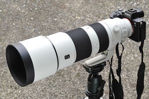 ソニー「FE 200-600mm」　一目惚れと苦悩の狭間で見えたもの