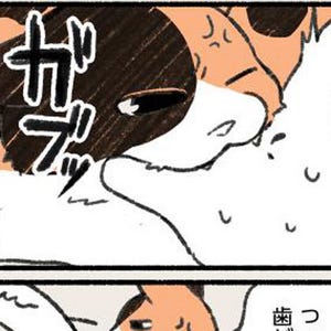 イチャイチャしていたと思ったら…?「急に猫がキレる」タイミングを漫画にしたツイートが話題に