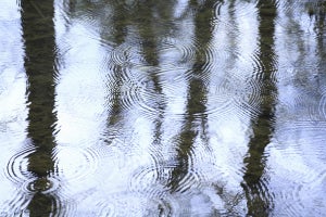 ワンランク上の「できる人」になる雨の日の過ごし方