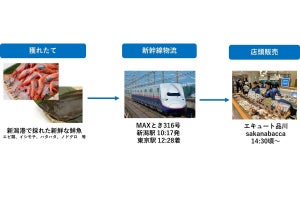 上越新幹線「Maxとき316号」で新潟県の海産物を輸送、品川駅で販売