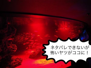 サンシャイン水族館がお化け屋敷に!? 恐怖体験してきた