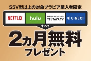 ソニー、55V型以上の対象テレビ購入でNetflixなど2カ月無料に