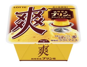 昔ながらの固めプリンがアイスになった「爽 純喫茶風プリン味」新発売