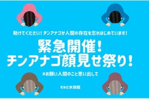 約300匹のチンアナゴとFaceTimeで会おう！ すみだ水族館がWebイベント