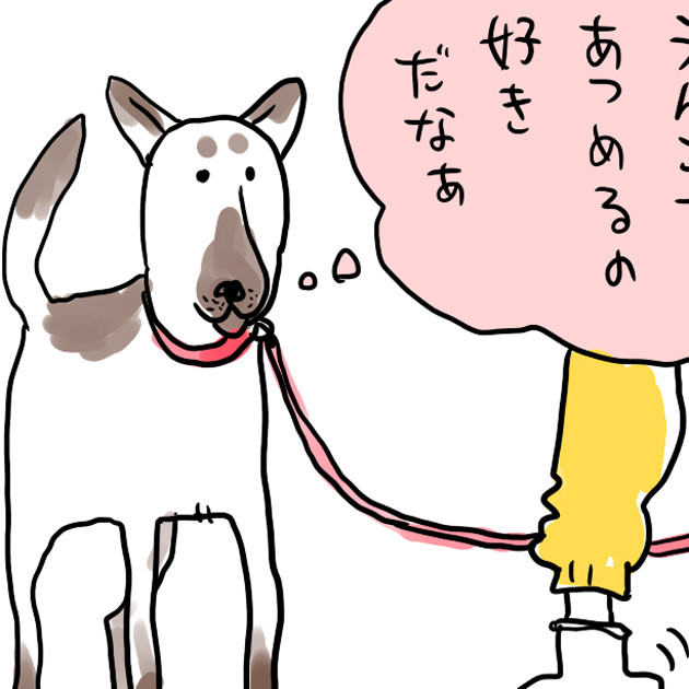 「人間は○○を集めるのが好きだなぁ」あなたの犬もそう思っているかも……? ツイートに注目 - 「だからか!」「そういえば」と同意の声