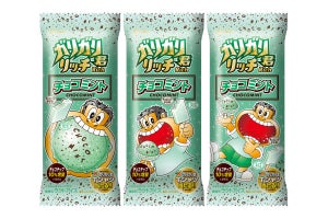 「ガリガリ君リッチチョコミント」発売 - チョコチップを10%増量