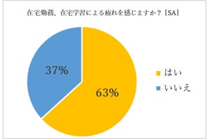 40代の44%が「在宅勤務で生産性低下」 - 原因は?