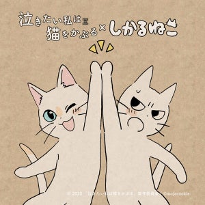 『泣き猫』、「しかるねこ」が応援隊長に就任！コラボイラストを公開