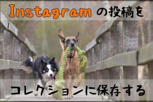 Instagramの投稿をコレクションに保存する