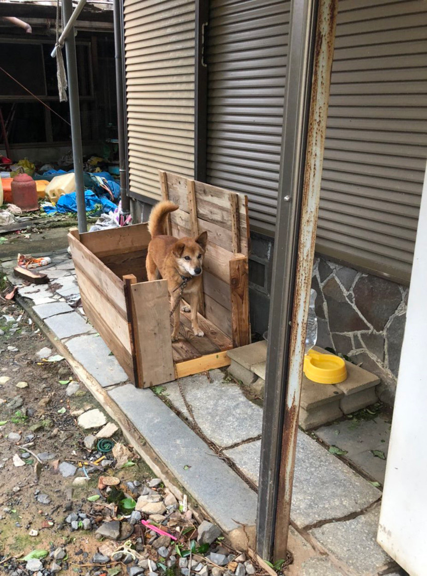 【怖い】台風で屋根が吹き飛んでしまった犬小屋にツイッターで注目 - 対応がまだの飼い主さんは今すぐ対策を!