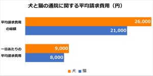 ペットの1年間の手術費総額 - 犬は8万1,000円、猫は?