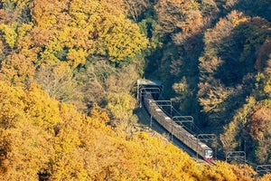 京王電鉄、紅葉時期に「Mt.TAKAO号」ノンストップで高尾山口駅へ