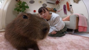 橋本環奈、カピバラを飼う 『みんなのどうぶつ園』ファミリーに参加