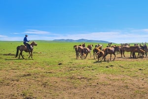 塞翁が馬の意味とは? 由来のエピソードや使い方、例文をわかりやすく紹介