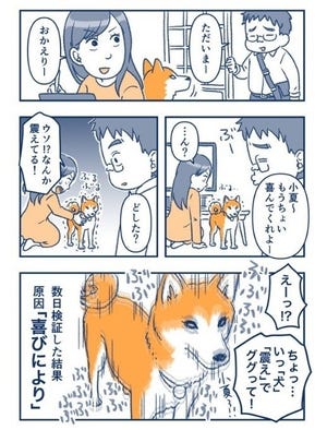 【爆笑】ご主人の帰宅にめちゃくちゃ震えだす"バイブレーション柴犬" - 「マナーモード解除してあげて」「可愛すぎて震える」と大反響