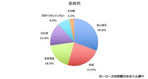 車選びの決め手、全世代で1番重視するのは「使い勝手」