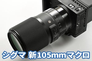 シグマ「105mm F2.8 DG DN MACRO」レビュー　圧巻の描写力を誇る中望遠マクロ