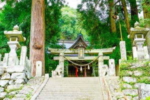 【ゾッ…】「ウチは巫女さん雇ってないけど」 神社で起きた不思議な出来事がツイッターで話題に - 「普通に怖い」「面白い!」と大盛りあがり