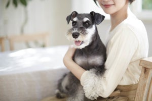 病気になりやすい「犬の誕生月」は? 