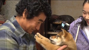 櫻井翔＆相葉雅紀が犬のレスキューへ　ボロボロな状態からトリミング