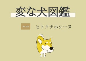 【うちにもいる!】あなたのおうちのワンコはヒトクチホシーヌ? 犬の習性をイラストにした「変な犬図鑑」がツイッターで話題 - 作者に話を聞いてみた