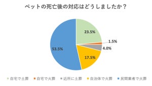 ペットが死亡後、葬儀やペット霊園でお墓を作る人はどのくらい？金額は？