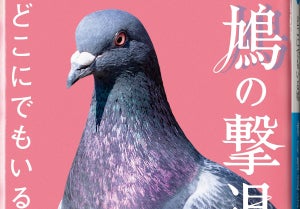 藤原竜也、世界征服を目論む鳩と人類の戦いに…『鳩の撃退法』エイプリルフール