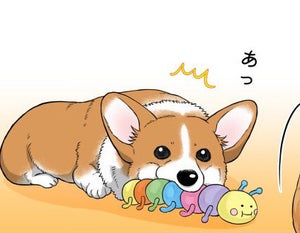 【#愛犬の日】「あかんの! 遊ぶの!」欲張りコーギーにキュン! - 「よく見る光景」「部屋中が玩具だらけ」と共感!