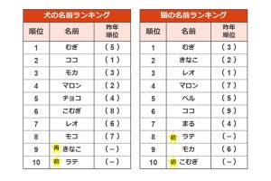 2021年ペットの名前ランキング、1位は犬・猫ともに同じ名前に！