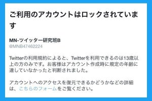 Twitterの年齢制限、何歳から使用可能？ ロック・凍結時の解除手順も