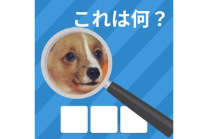 【毎日がアプリディ】アップにするだけでなにがなんだかわからなくなる！「ズームクイズ：クローズアップ画像ゲーム」