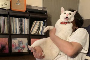 【うわああああぁぁ】ご主人の抱っこ全力拒否の猫が可愛すぎる - 必死の表情になってしまう意外な理由とは……?