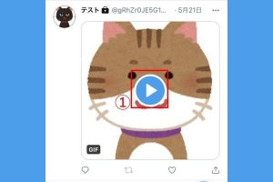 TwitterのGIF動画を保存（ダウンロード）する方法【iPhone/Android/PC】