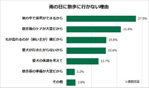 愛犬家に聞いた、雨の日は散歩に行く?行かない?