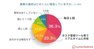 テレワーカー34%が「ウソの報告をしたことがある」と回答 - どんなウソ?