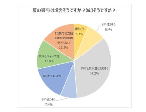 20代の夏ボーナス「減額」「支給なし」予想が3割超、使い道は?