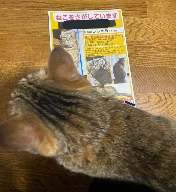 【オイィ】雨の中脱走してしまった愛猫。泣きながらポスターを作っていたら…まさかのオチに「ネコあるあるでワロタwwww」「笑っちゃいけないけど笑っちまった」と話題に