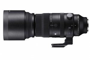 シグマ、大幅に小型化したSportsシリーズのミラーレス向け150-600mm望遠ズーム